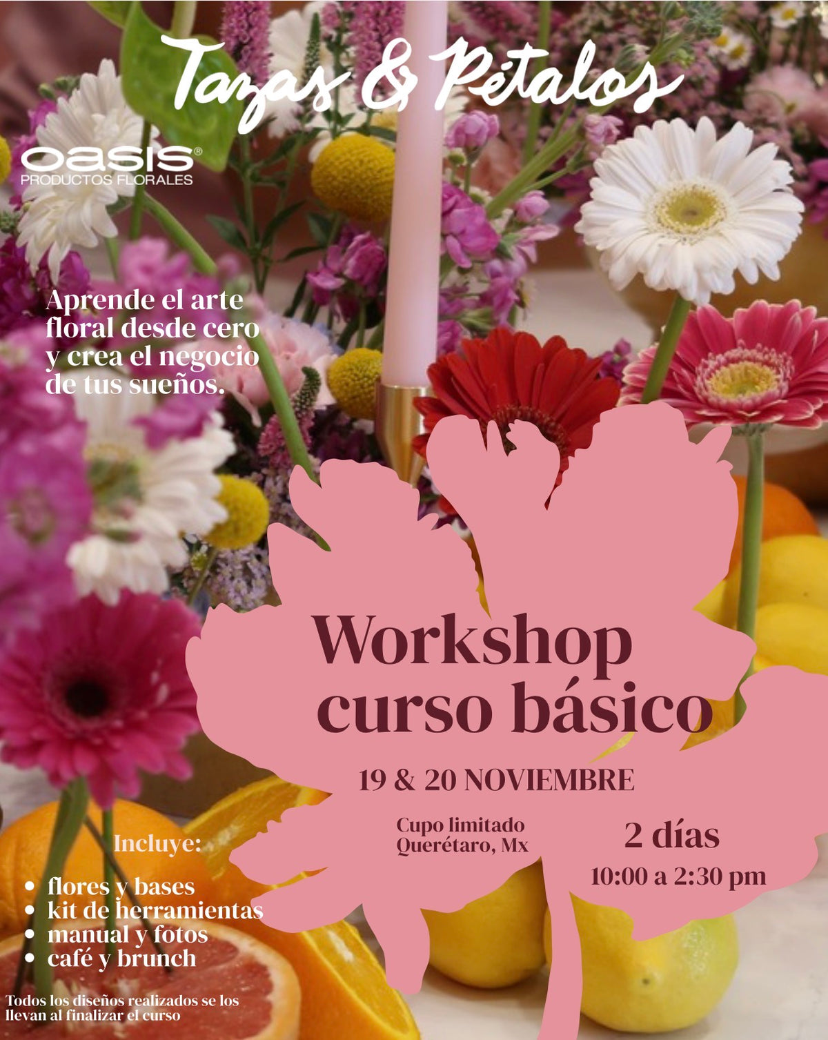 CURSO BÁSICO noviembre 2026