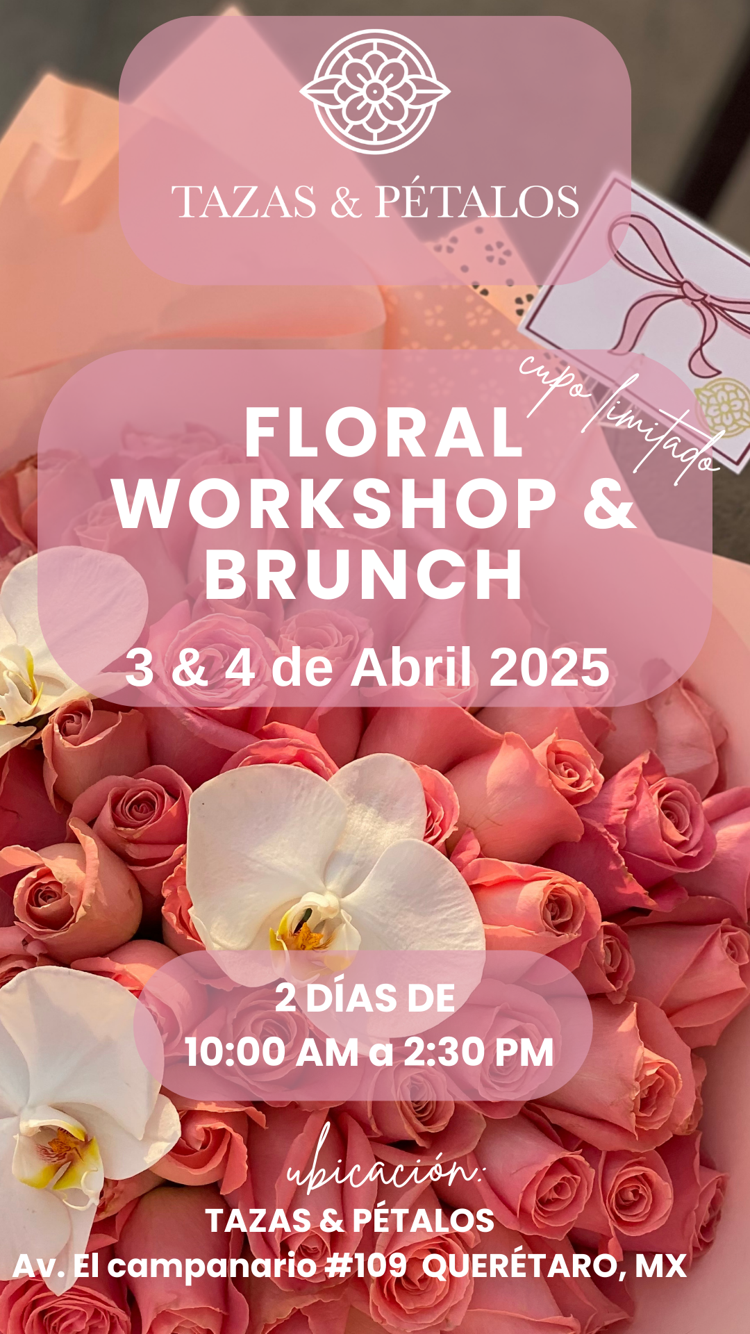 Curso Básico 2025