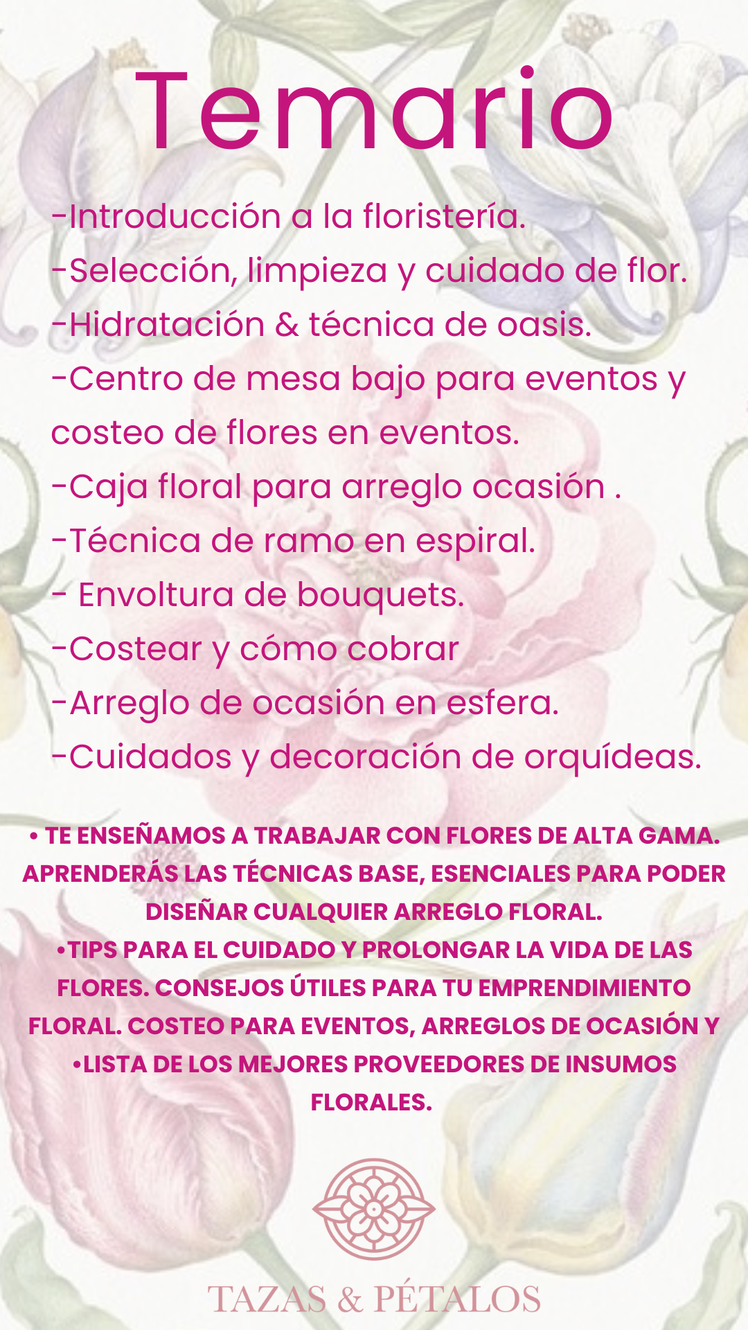Curso Básico 2025