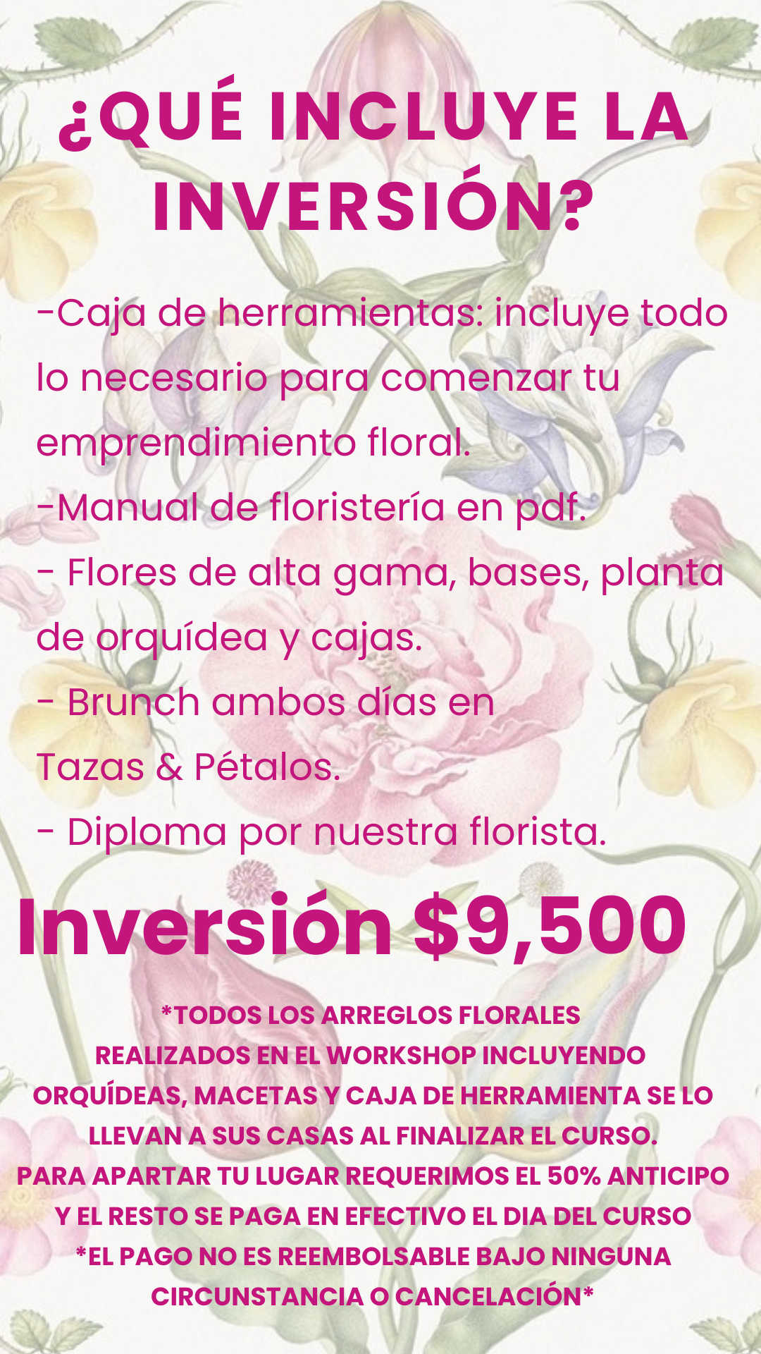 Curso Básico 2025