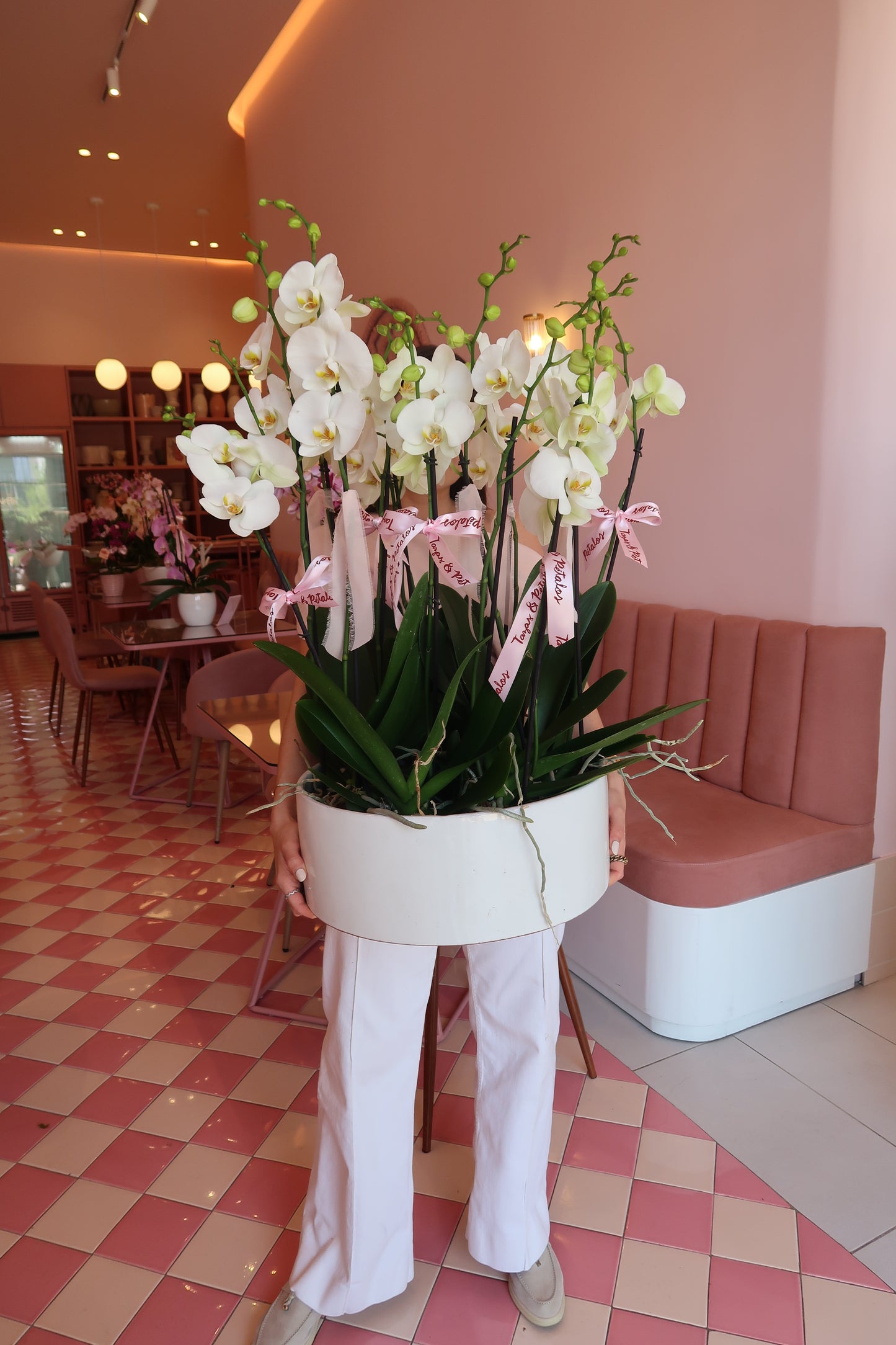 Jardín de orquídea premium