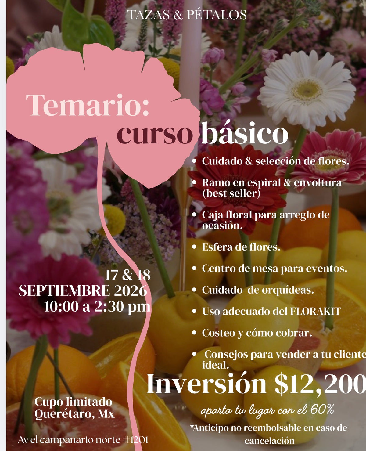 CURSO BÁSICO Septiembre 2026