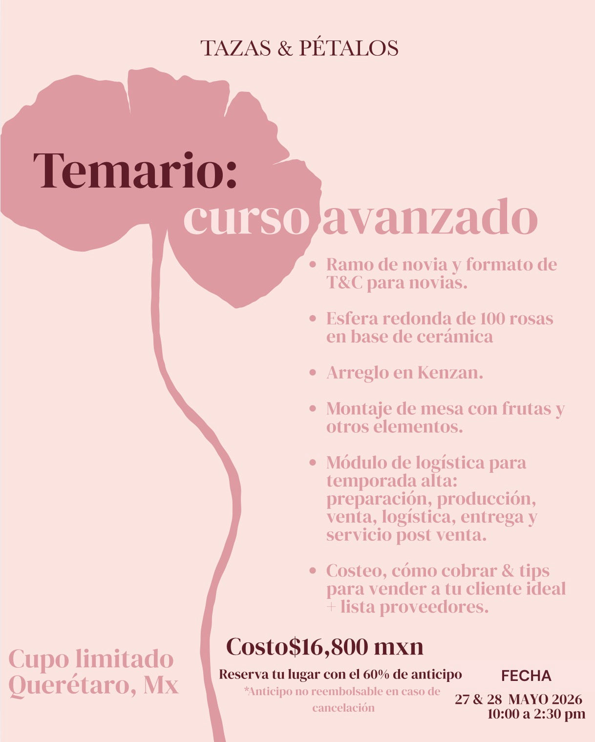 CURSO AVANZADO