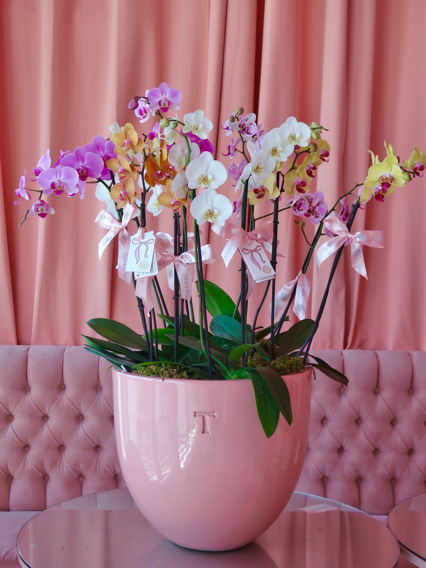 Jardín de orquídeas Premium