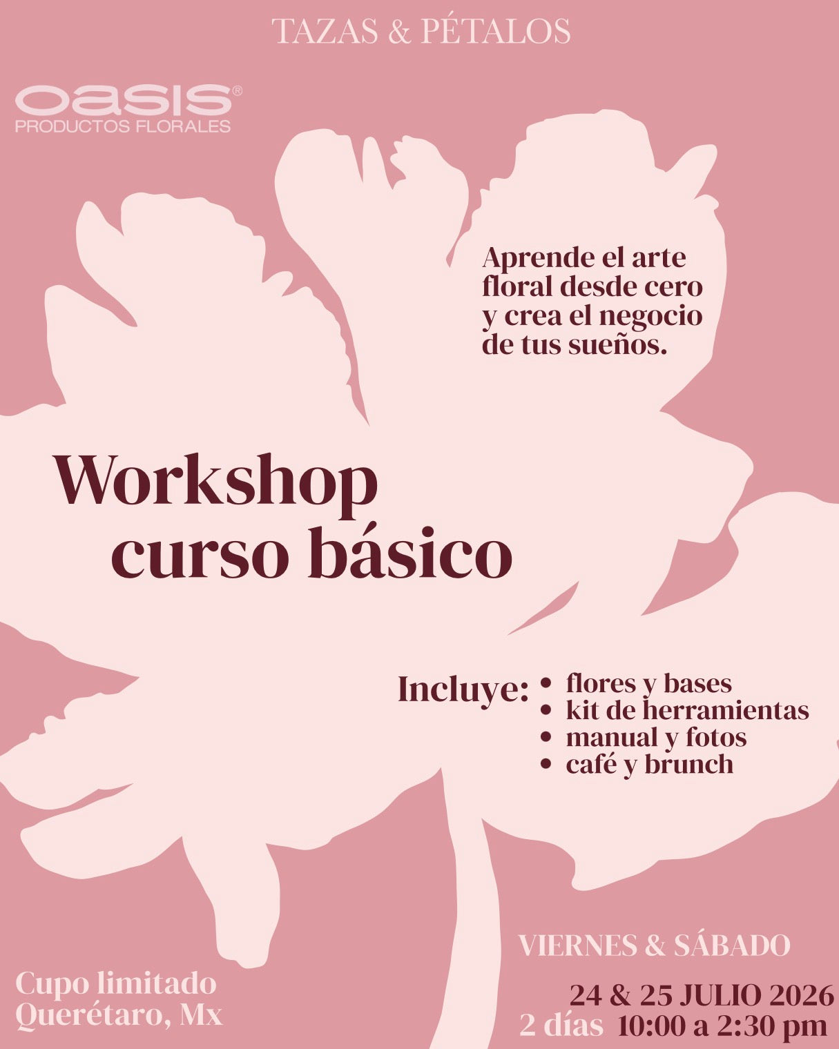 CURSO BÁSICO JULIO 2026