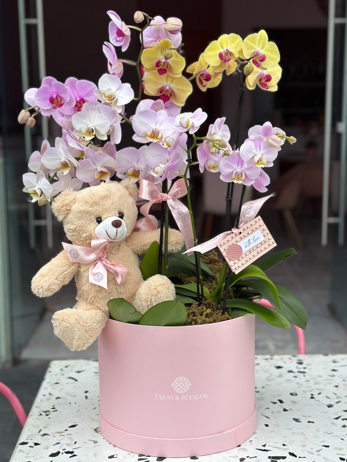 Jardín 4 Orquídeas en caja