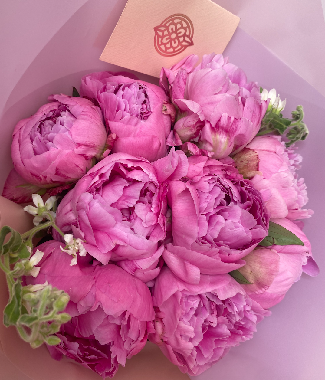 Peonias (decena)