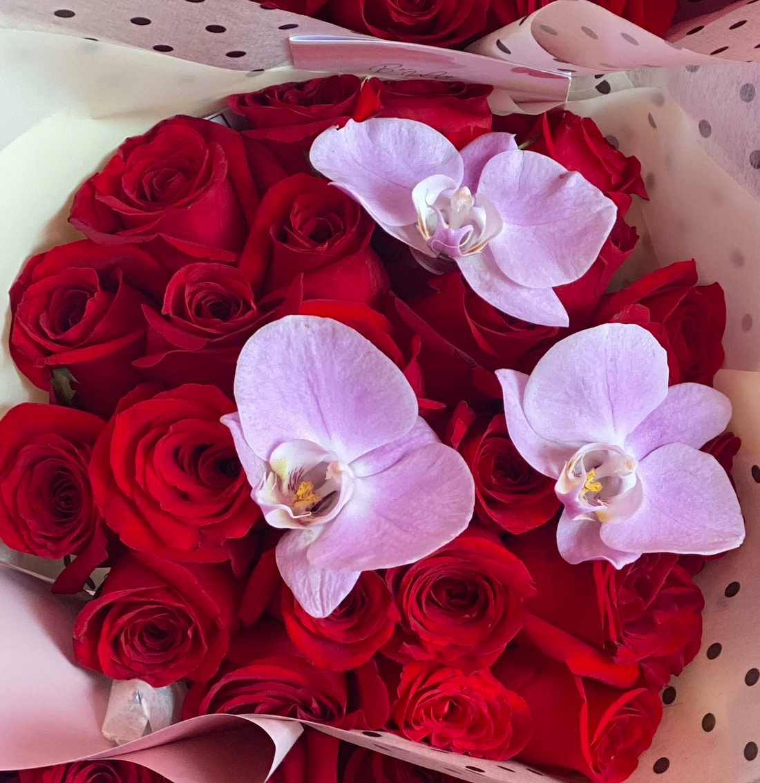 ¿Qué regalar en San Valentin?
