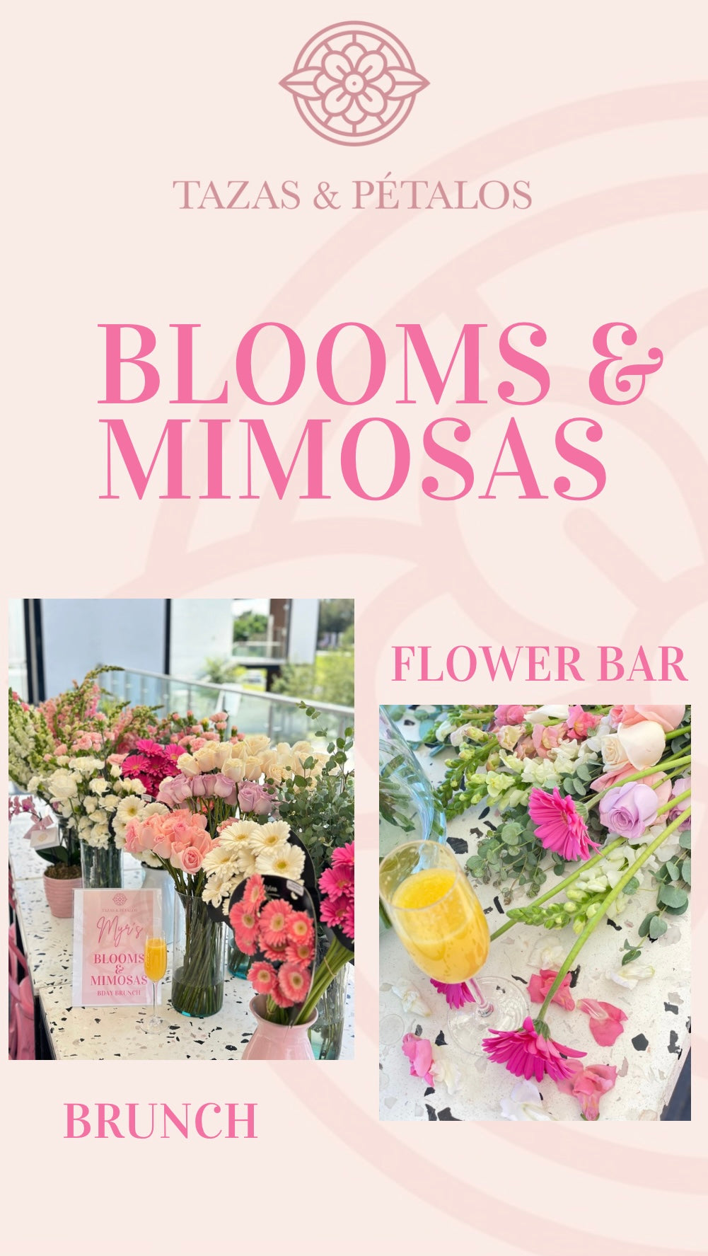 BLOOMS & MIMOSAS🪩✨🌷🥂🌸💐