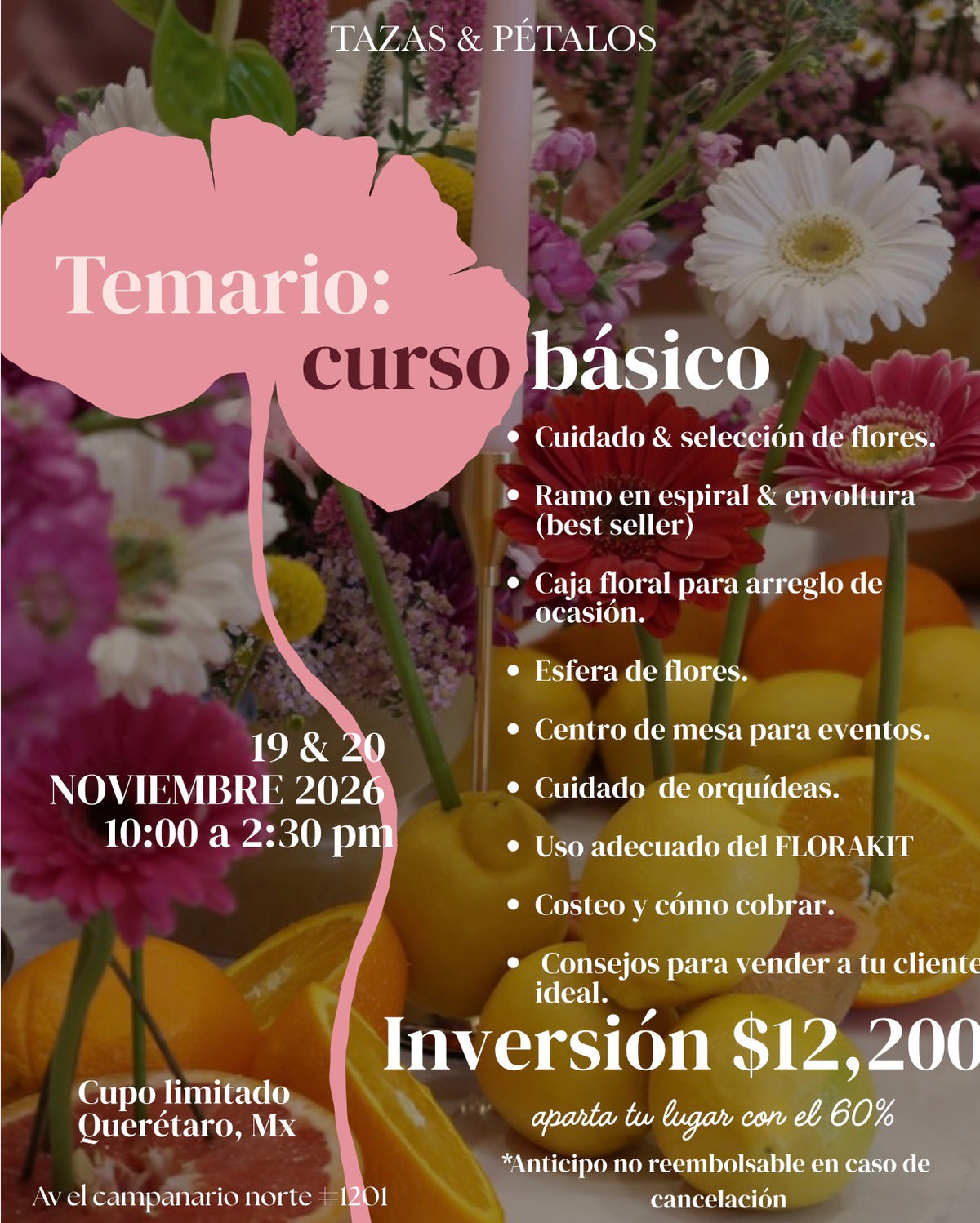CURSO BÁSICO noviembre 2026