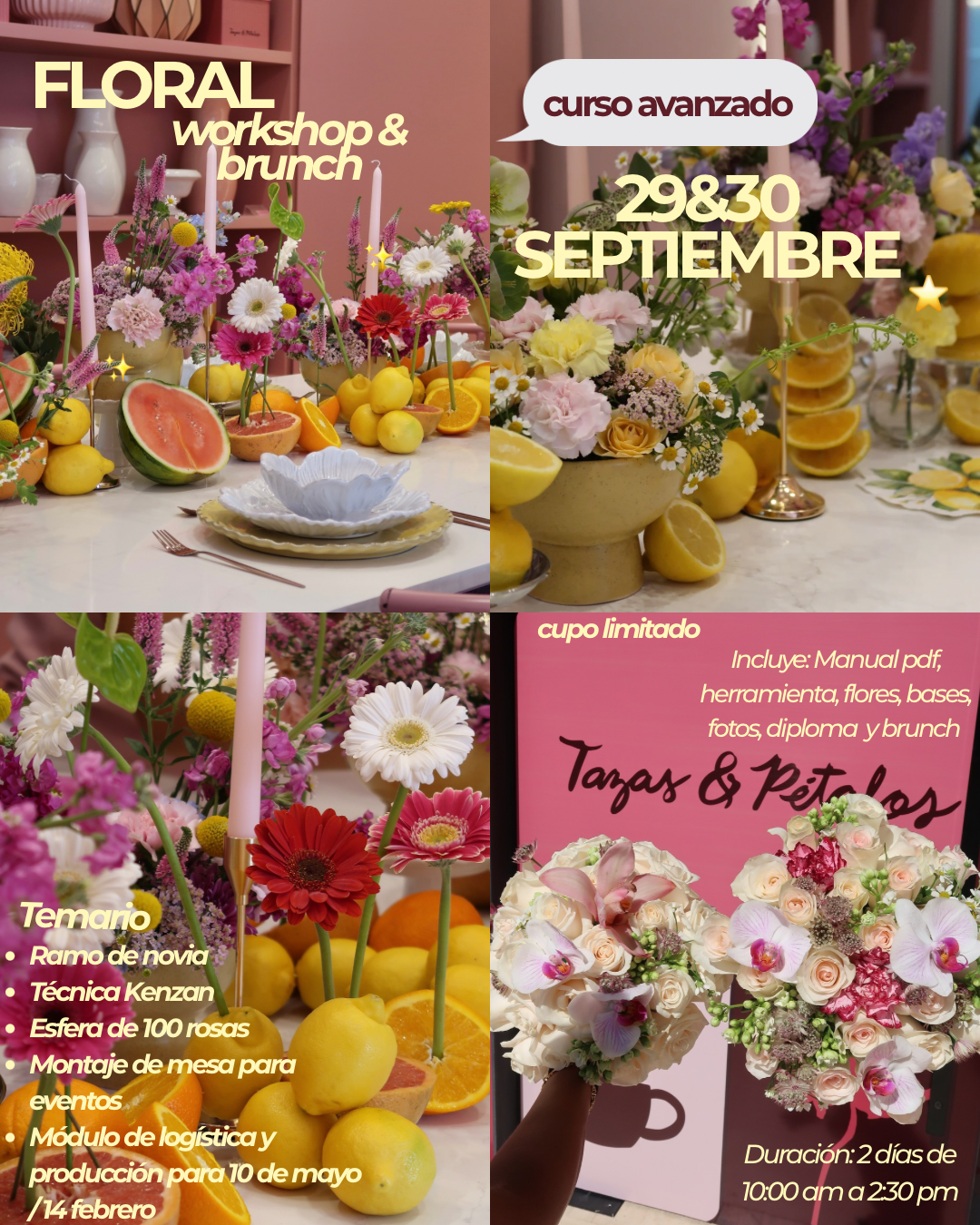 CURSO AVANZADO