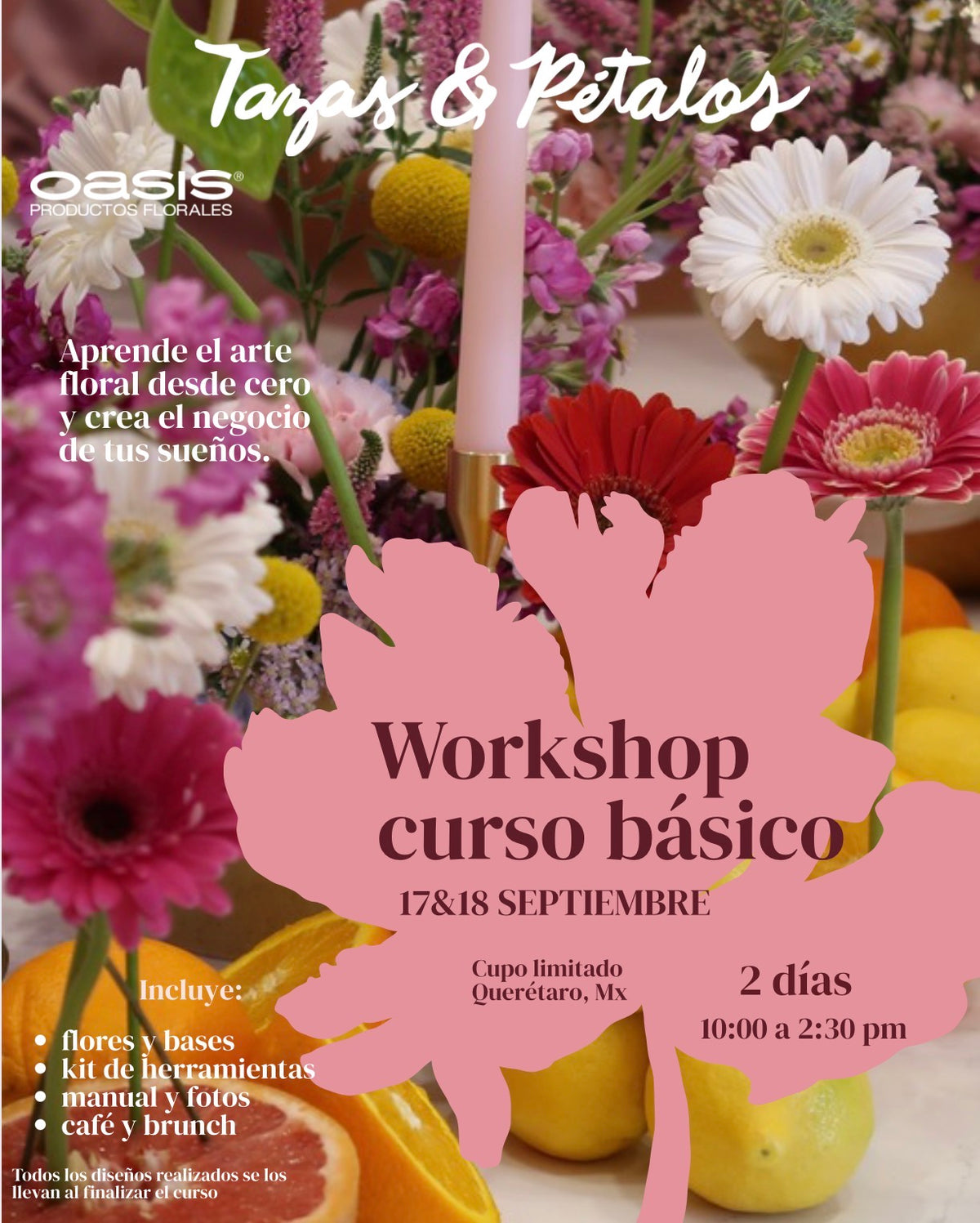 CURSO BÁSICO Septiembre 2026