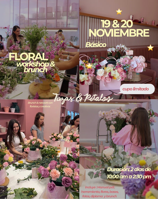 CURSO BÁSICO noviembre 2026