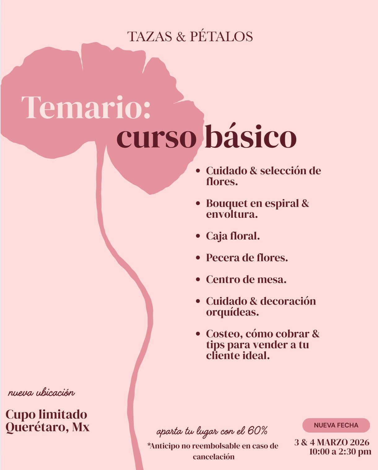 CURSO BÁSICO MARZO 2026
