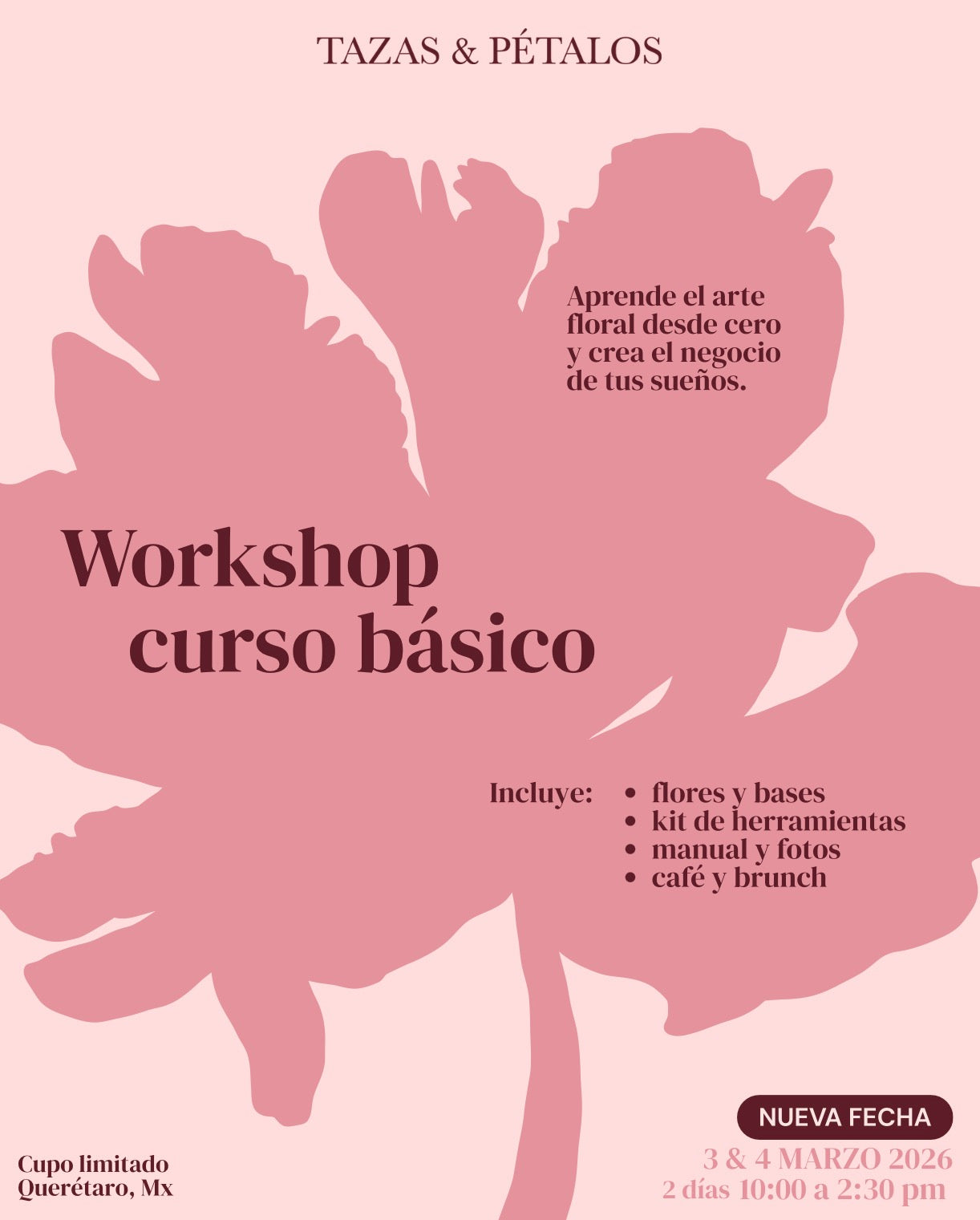 CURSO BÁSICO MARZO 2026