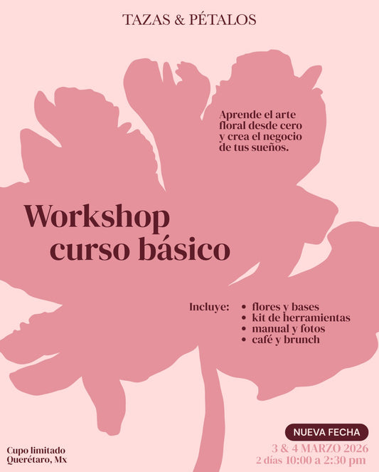 CURSO BÁSICO MARZO 2026