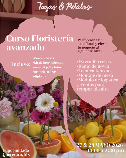 CURSO AVANZADO