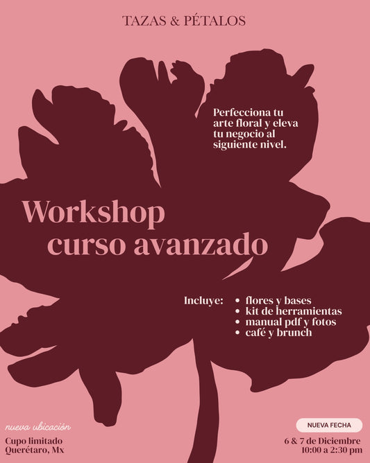 CURSO AVANZADO