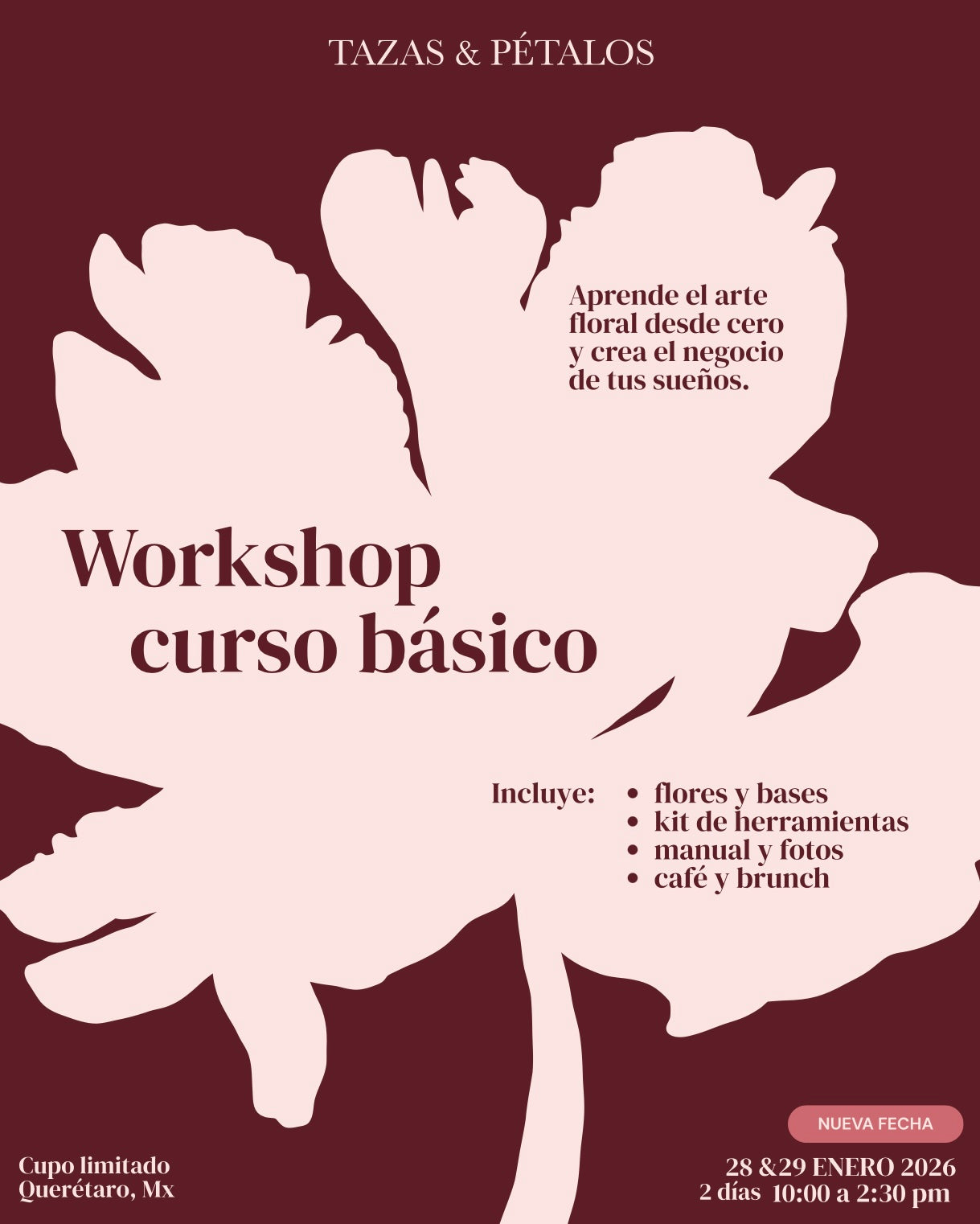 CURSO BÁSICO ENERO 2026