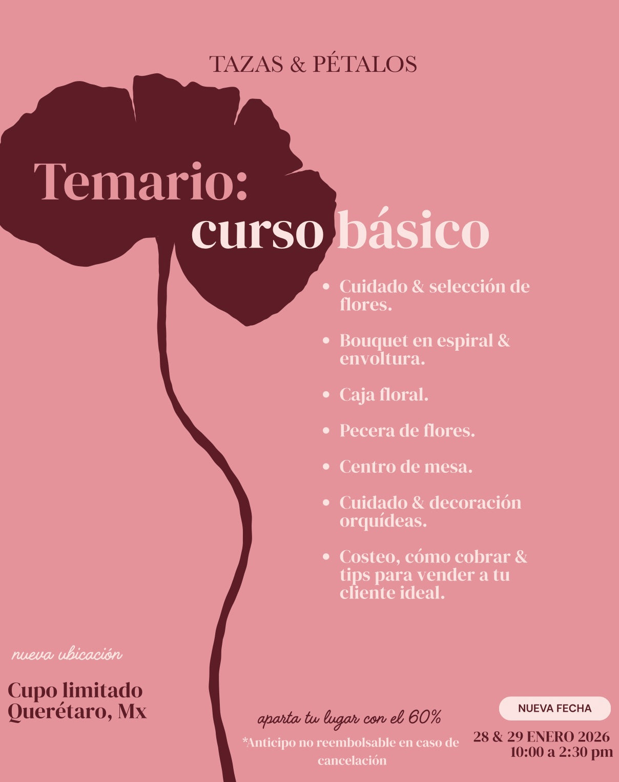 CURSO BÁSICO ENERO 2026