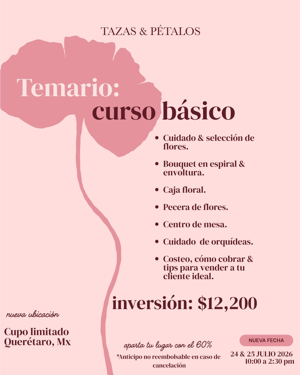 CURSO BÁSICO JULIO 2026