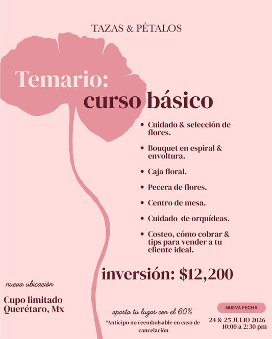 CURSO BÁSICO JULIO 2026