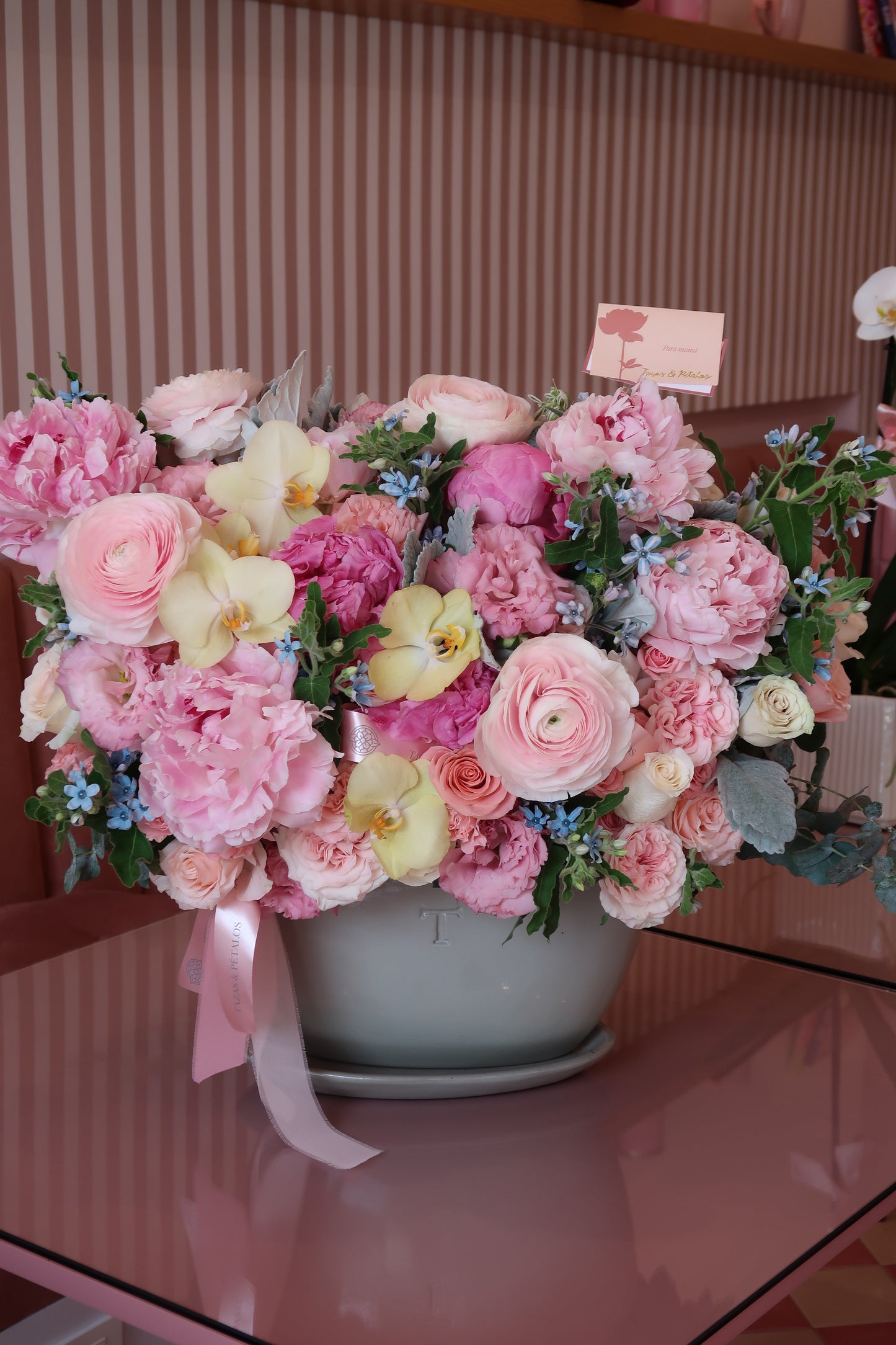 Peony garden