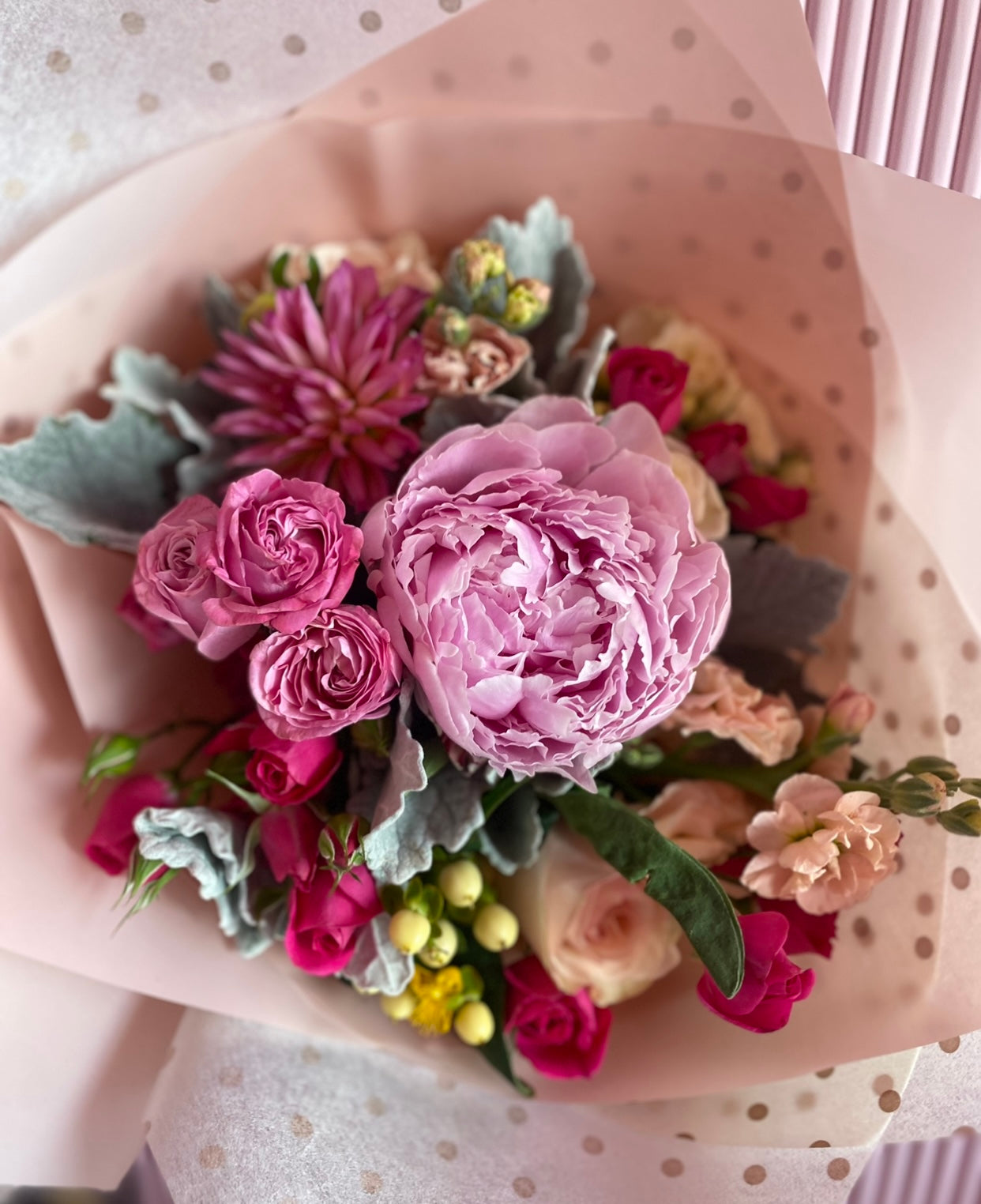 1 Peonia